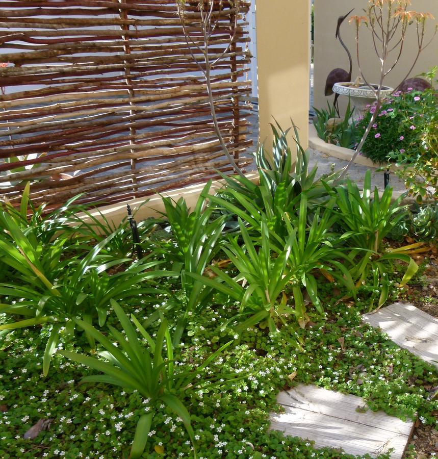 Anchorage Inn Guesthouse Montagu Esterno foto